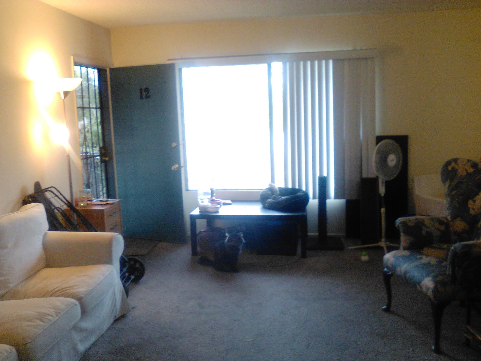 Hjemmeophold Culver City 120326