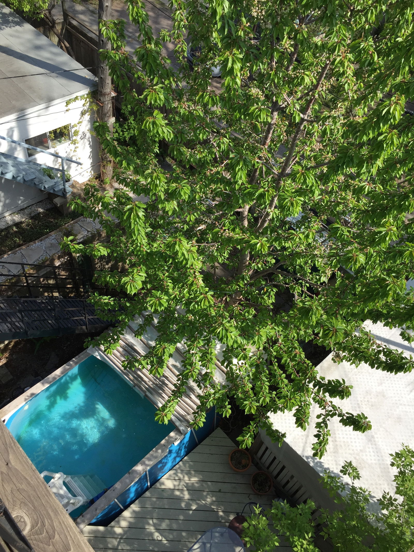 Gæsteværelser Montréal 89846