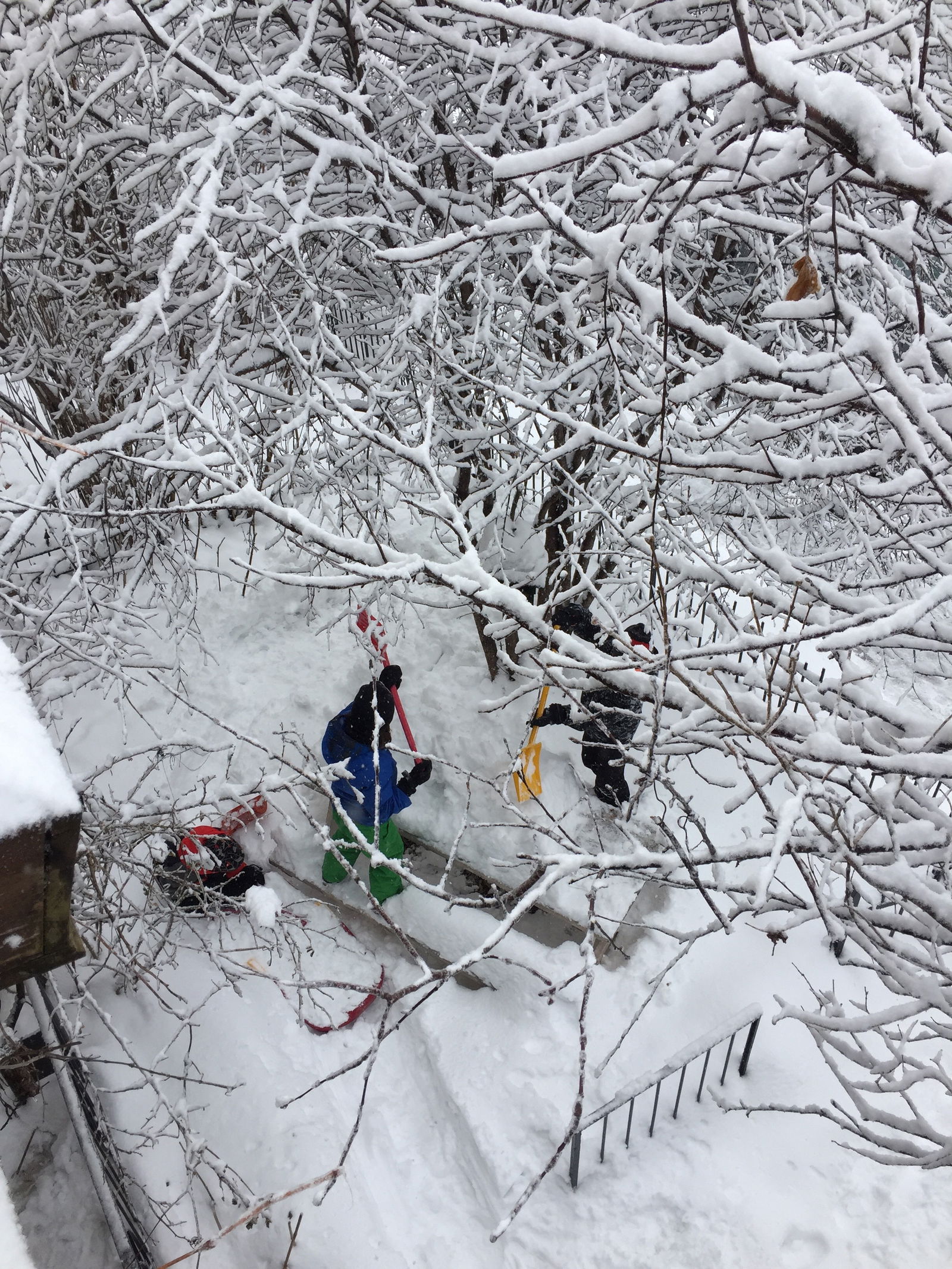 Gæsteværelser Montréal 89846