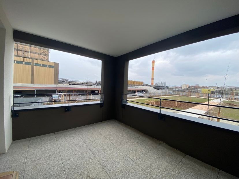 Colocation Schiltigheim 497619