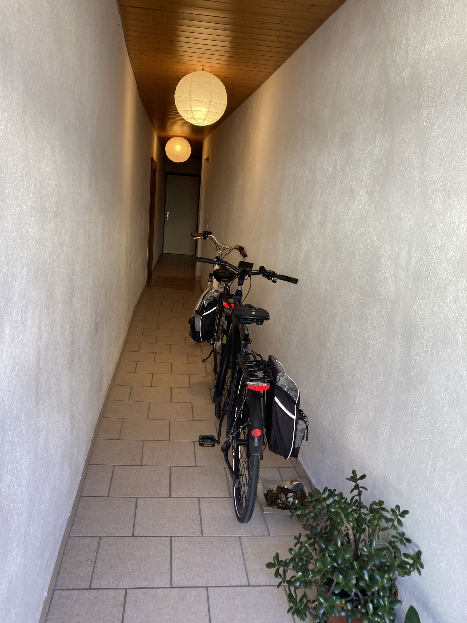 Unabhängiges Studio Rances 252134