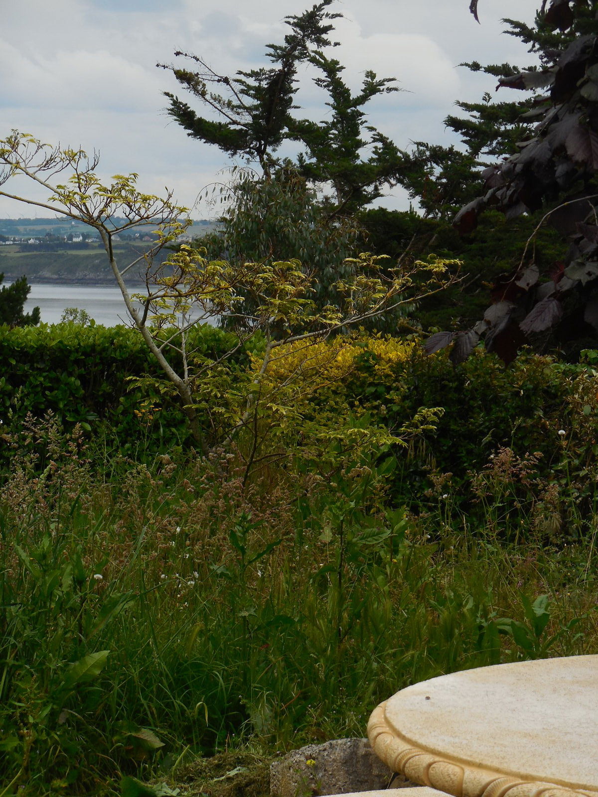 Unabhängiges Studio Plérin 96505