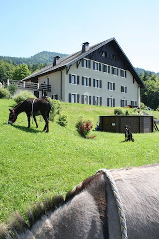 Unabhängiges Studio Draillant 140776