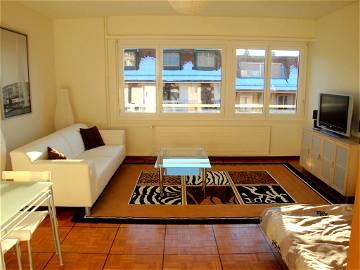 Roomlala | Möblierte Wohnung (1,5 Zimmer), 28 M2 Voll Ausgestattete Carouge