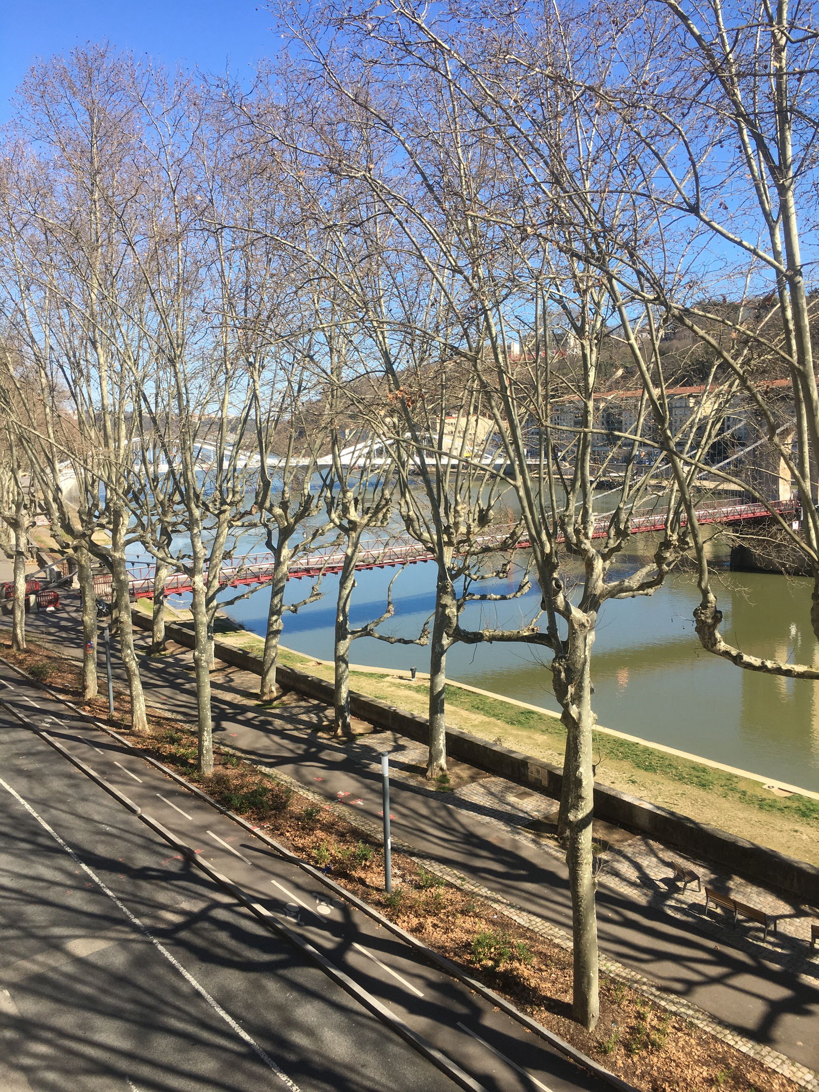 Unabhängiges Studio Lyon 257457