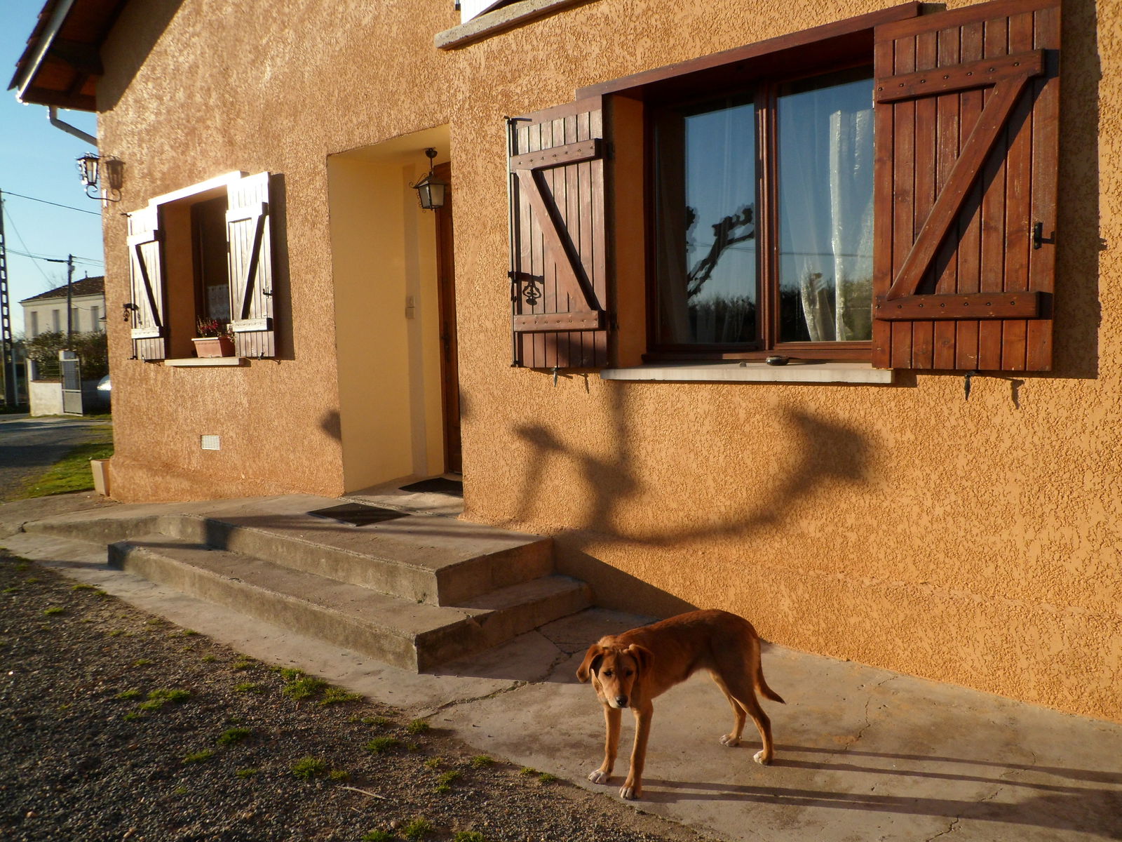 Gastfamilie Saint-Ciers-d'Abzac 20716