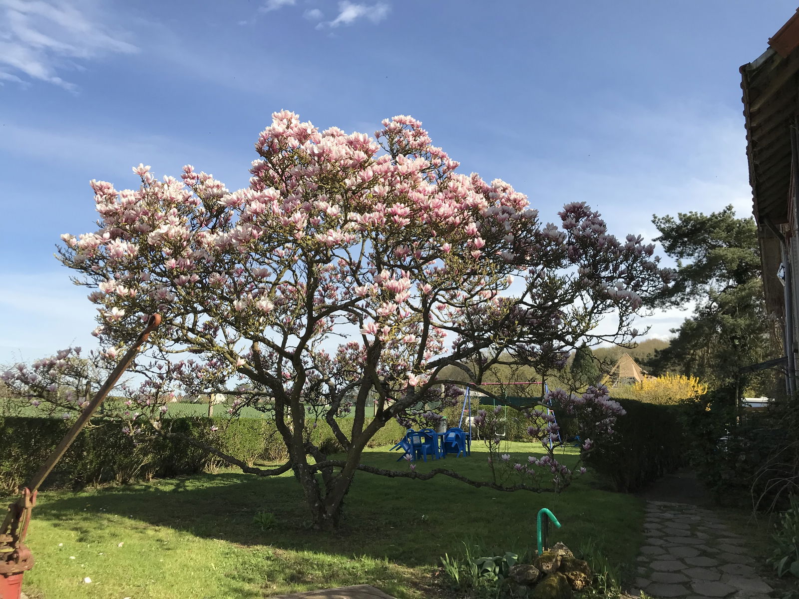 Kolokation Magny-les-Hameaux 256950