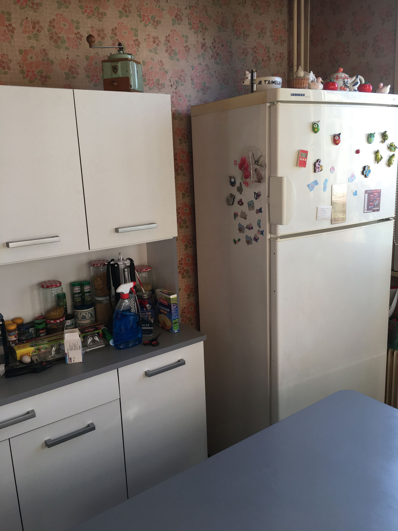 Gastfamilie Fresnes 218967