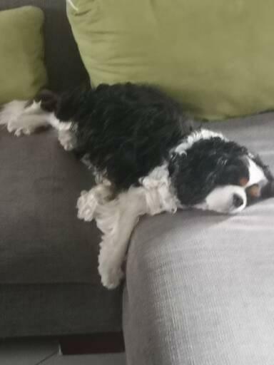 Gastfamilie Chevigny-Saint-Sauveur 186453