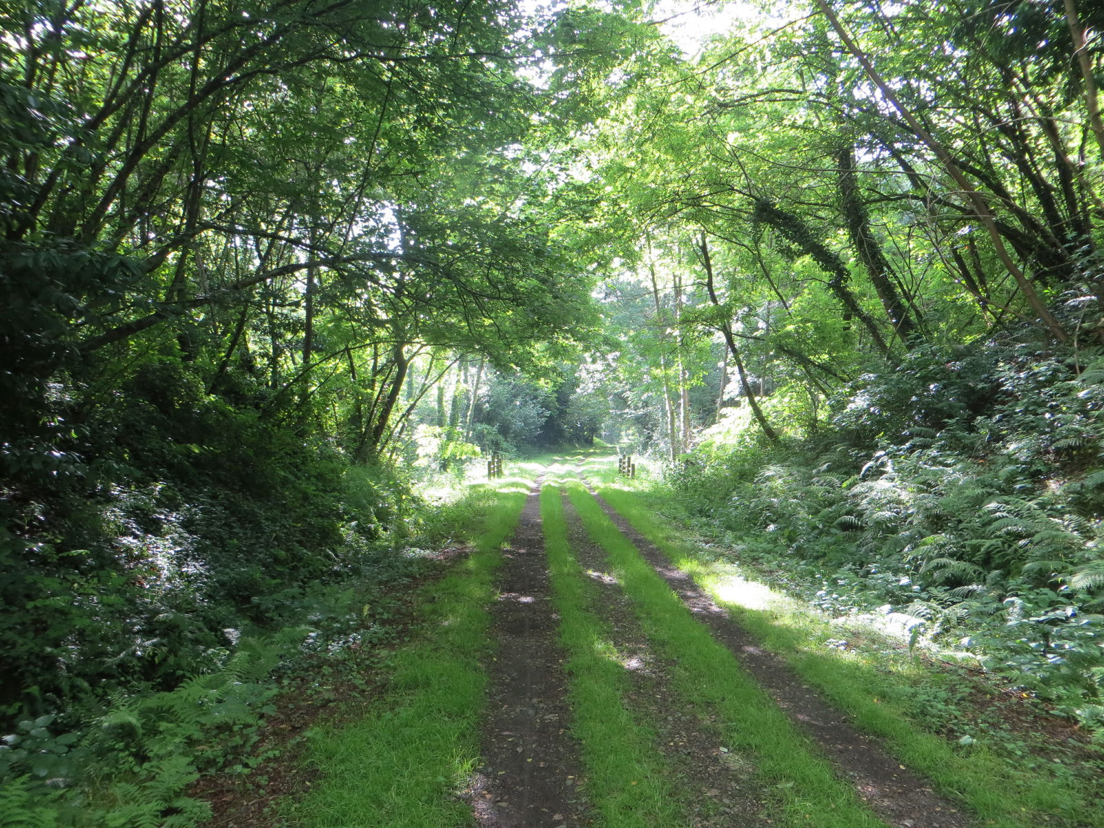 Unabhängiges Studio Gamarde-les-Bains 223416