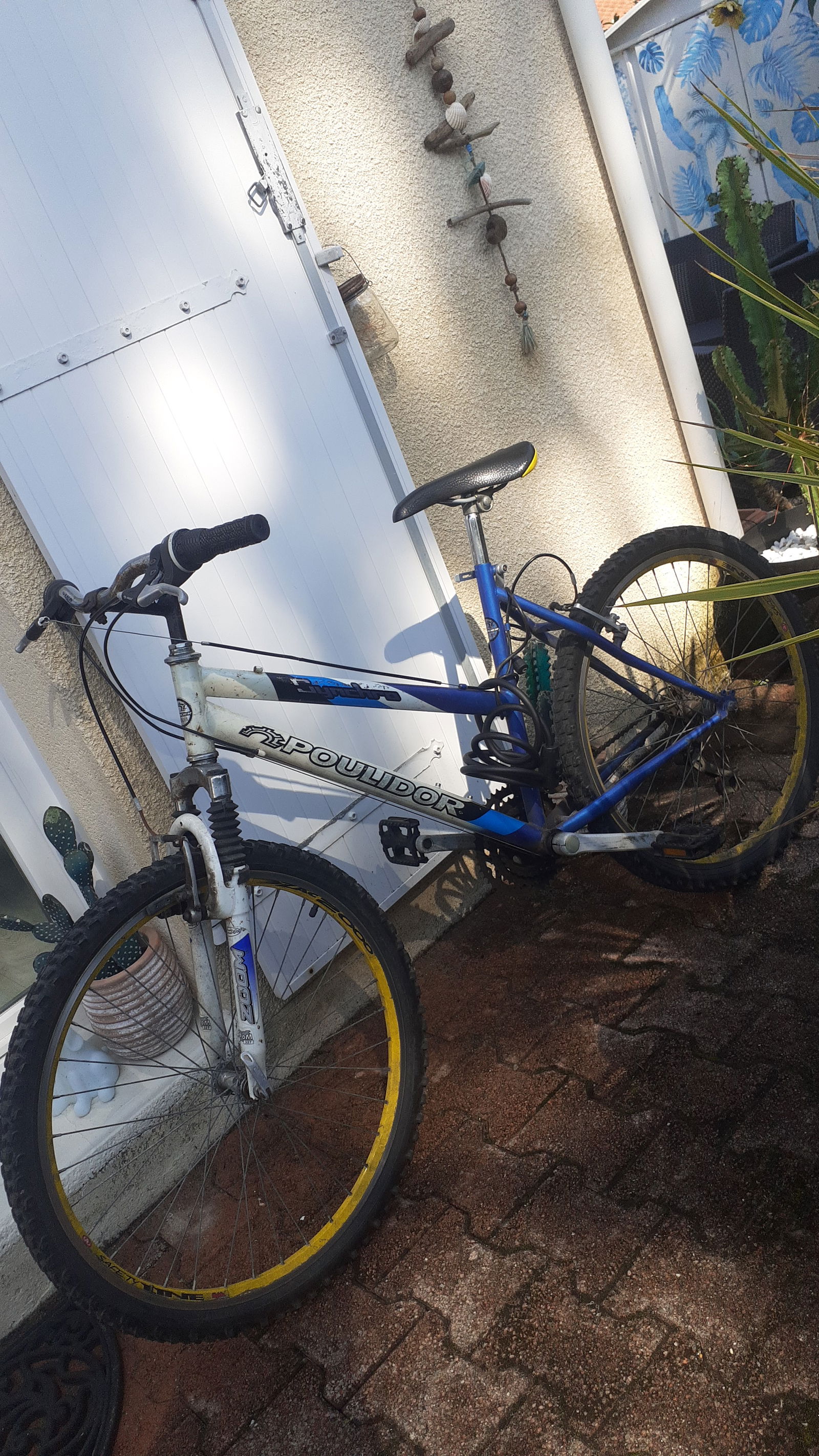 Kolokation Labenne 249939