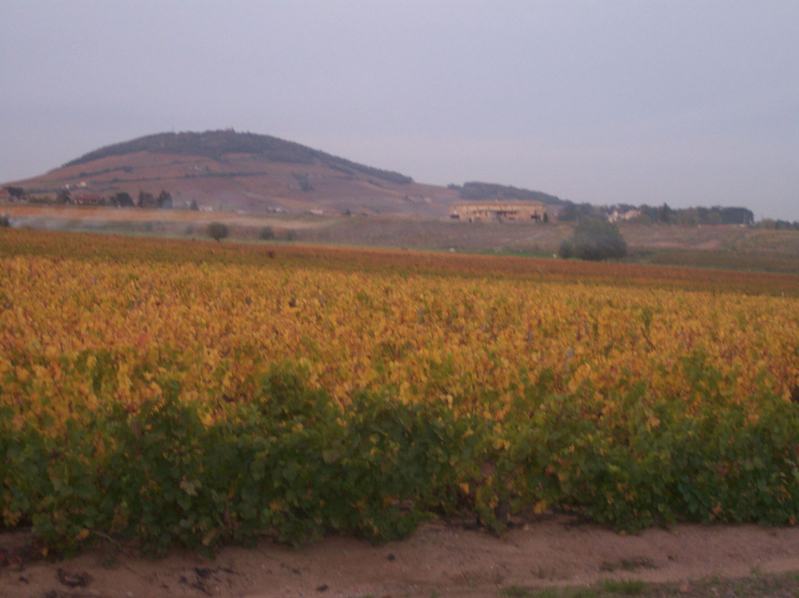 Unabhängiges Studio Saint-Étienne-des-Oullières 217277