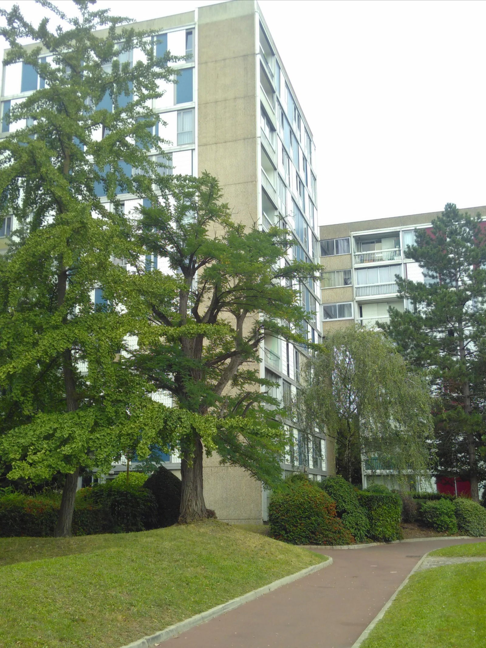 Gastfamilie Pierrefitte-sur-Seine 372290