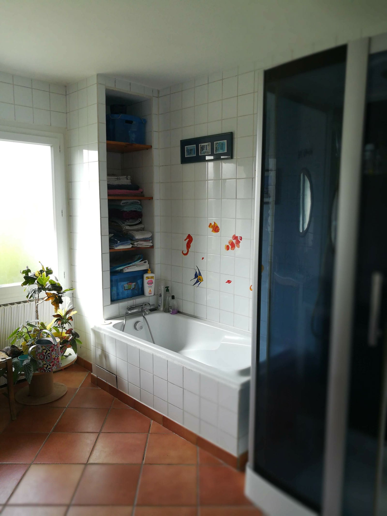 Gastfamilie Baccon 225300