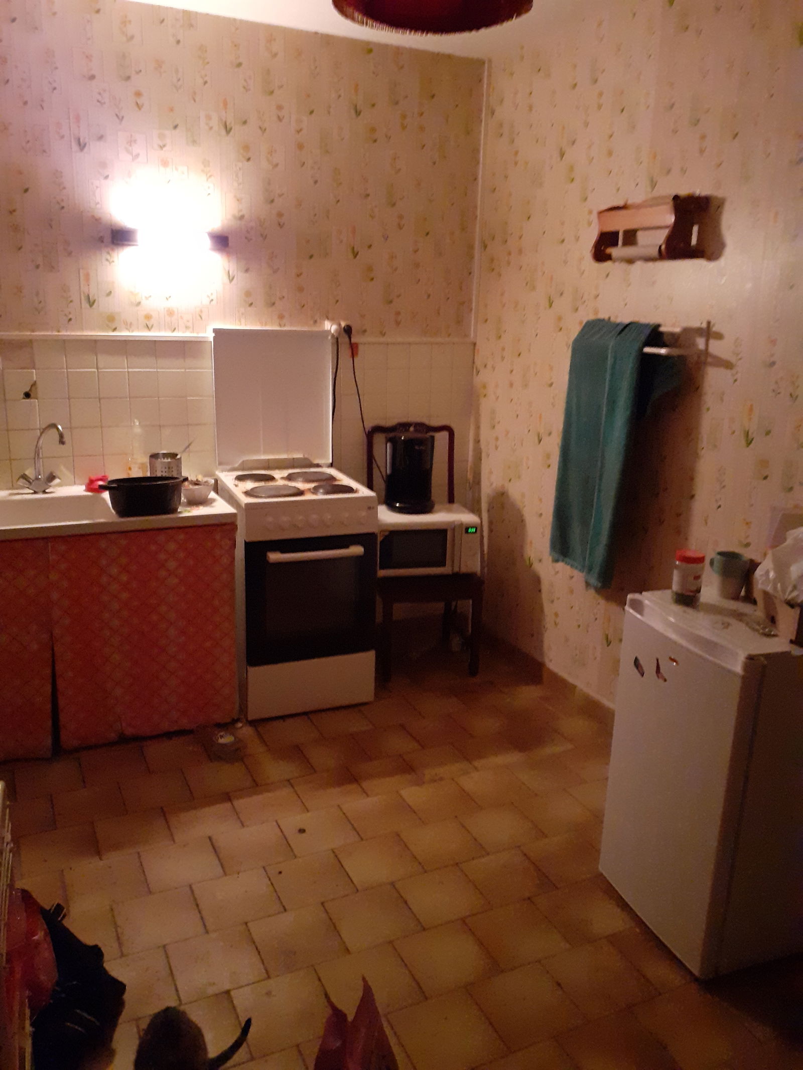 Gastfamilie Sauzelles 243798