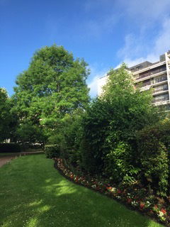 Gastfamilie Versailles 256094