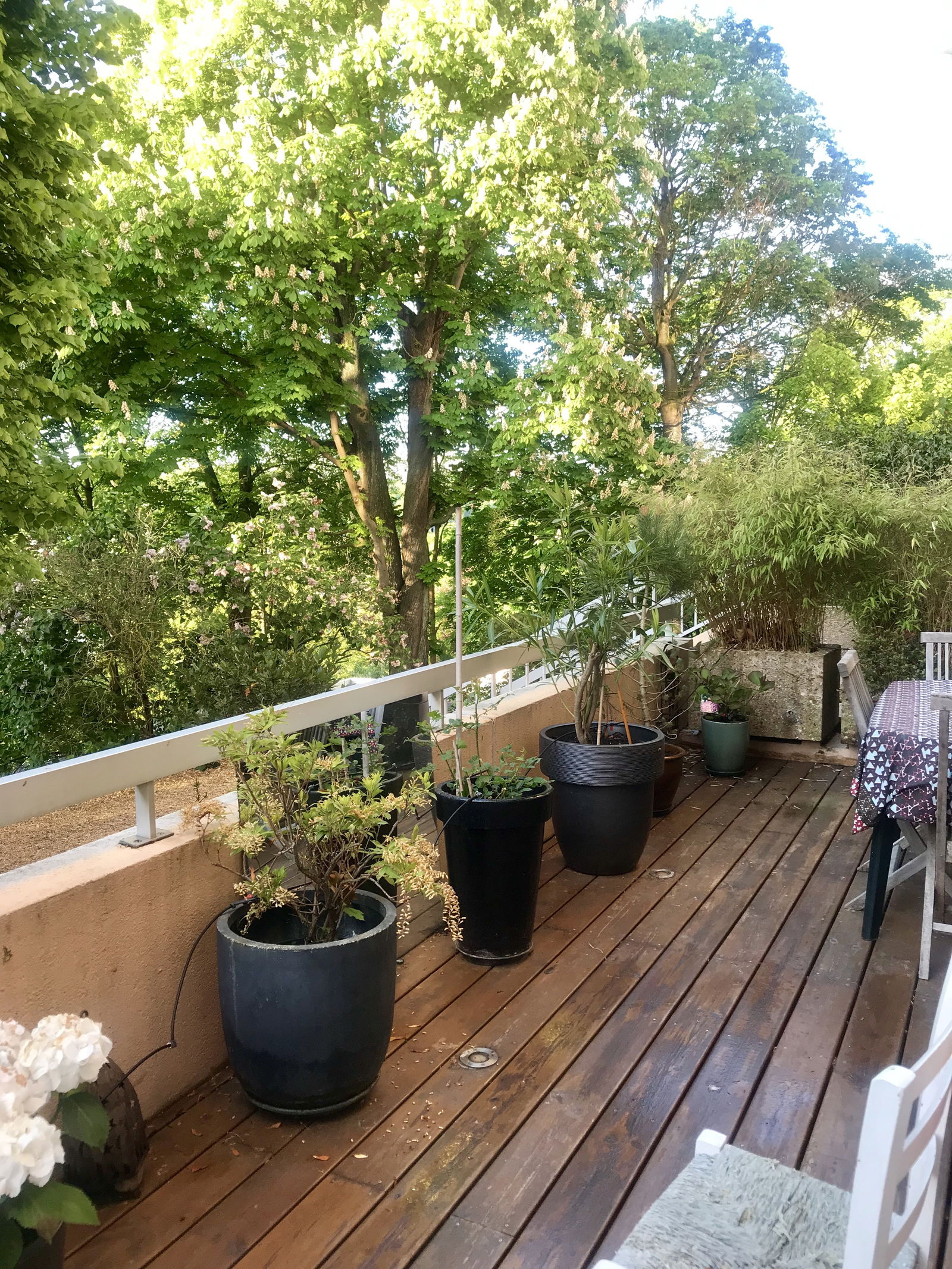 Gastfamilie Saint-Germain-en-Laye 222657