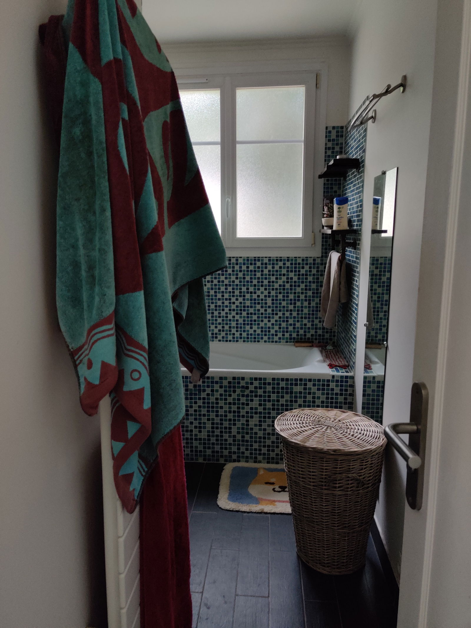 Gastfamilie Champigny-sur-Marne 251682