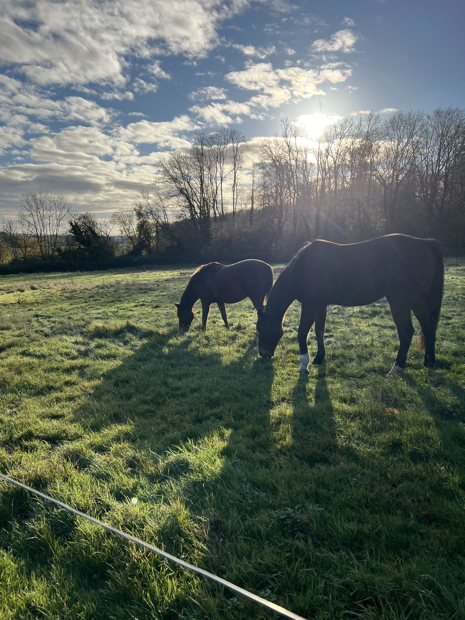 Kolokation Boisemont 643440