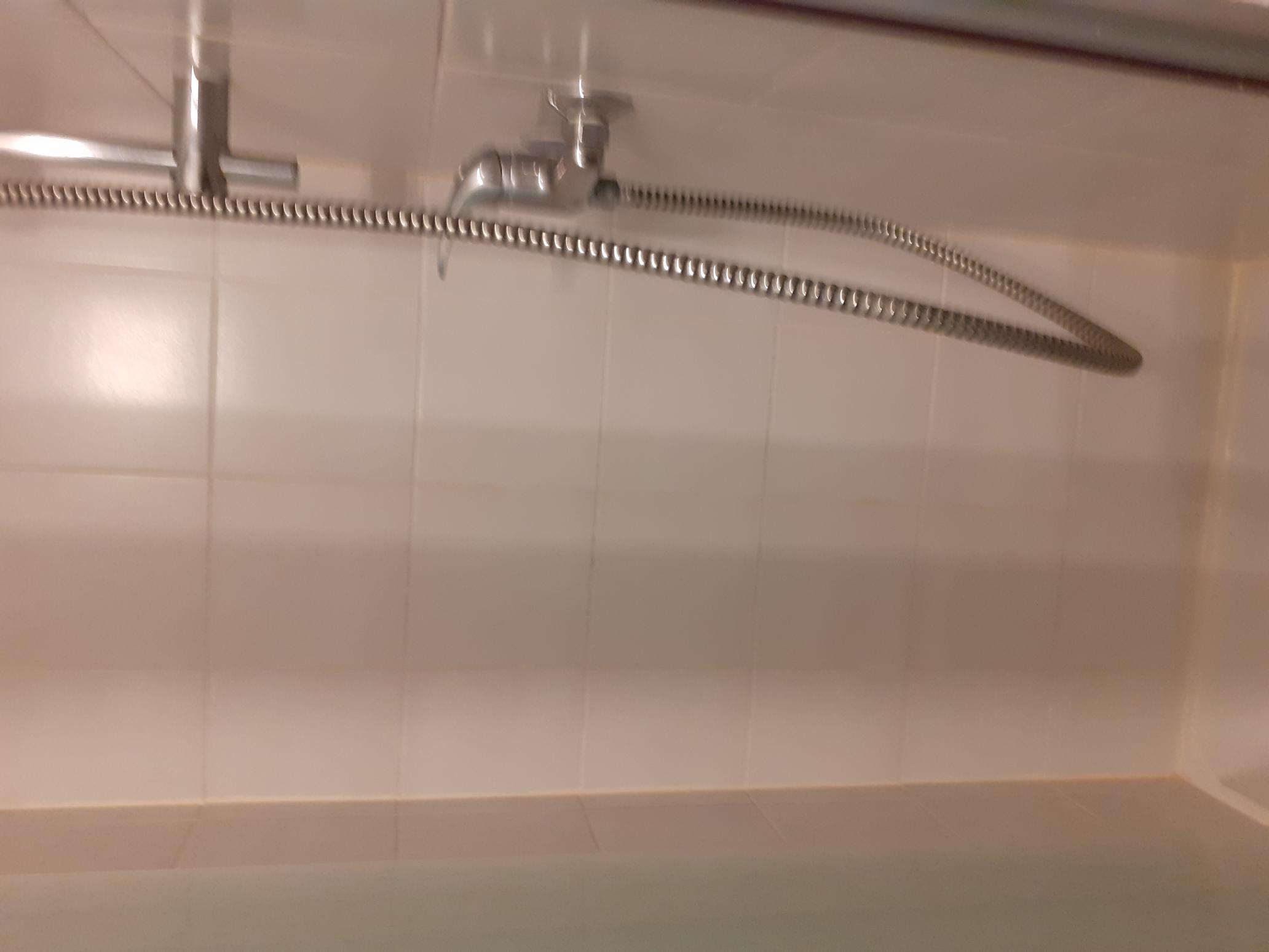 Gastfamilie Ronchin 264225