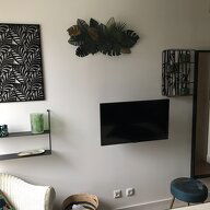 Kolokation Nantes 306724