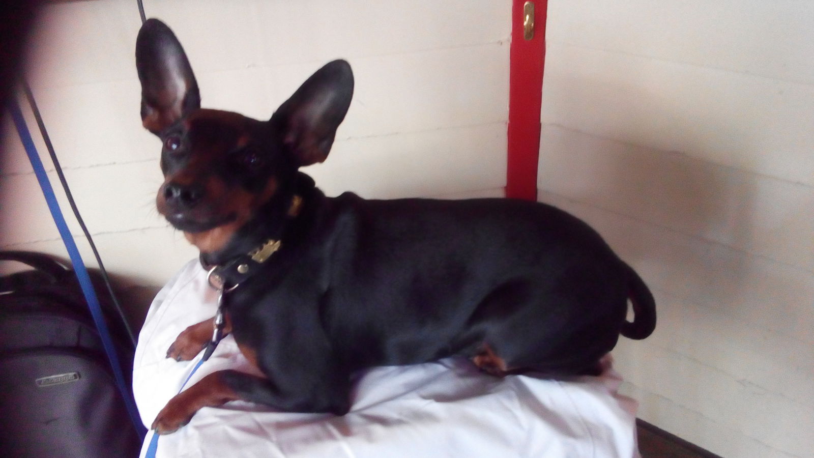 Gastfamilie Kloten 126838