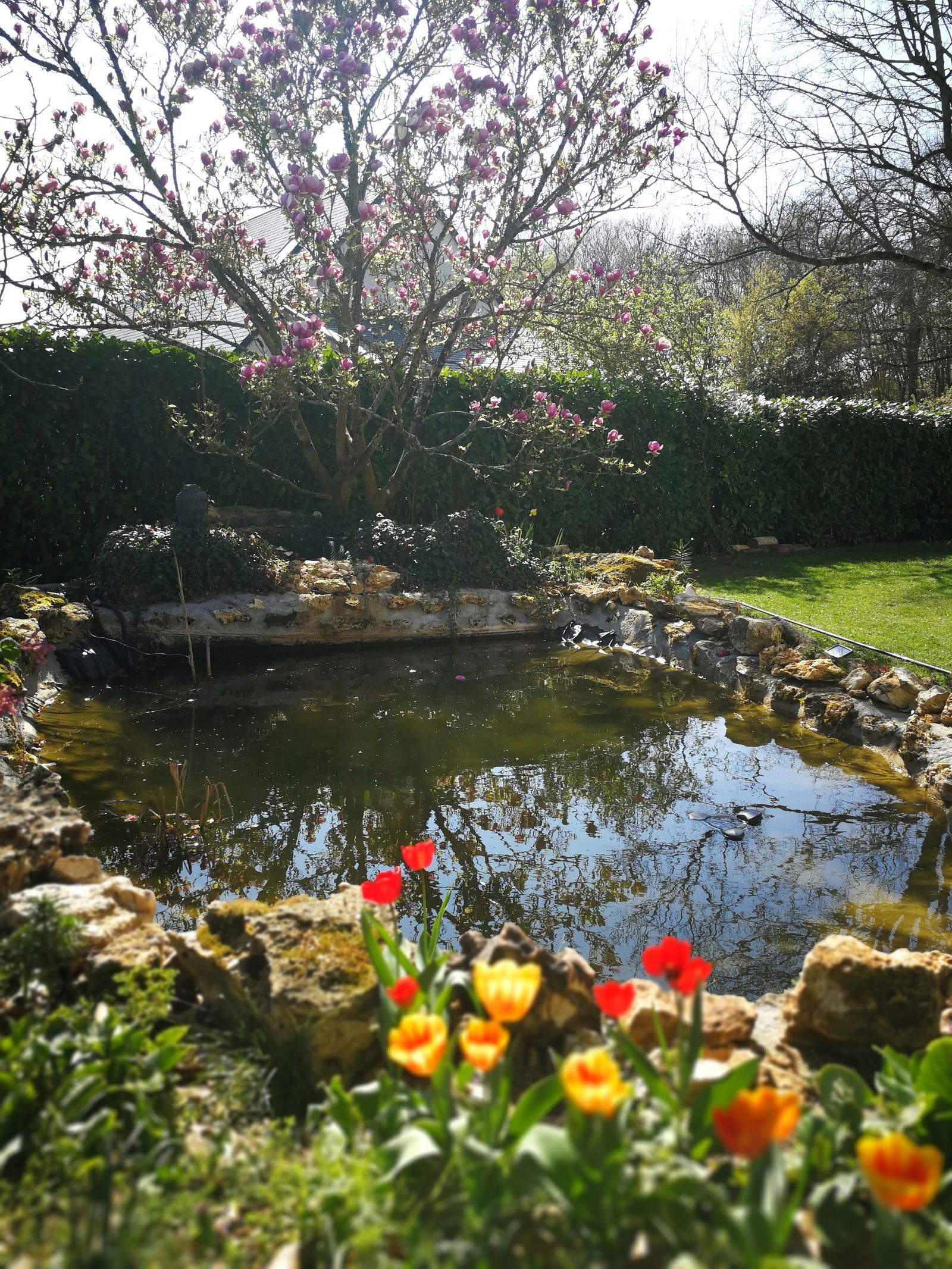 Gastfamilie Joué-lès-Tours 221703