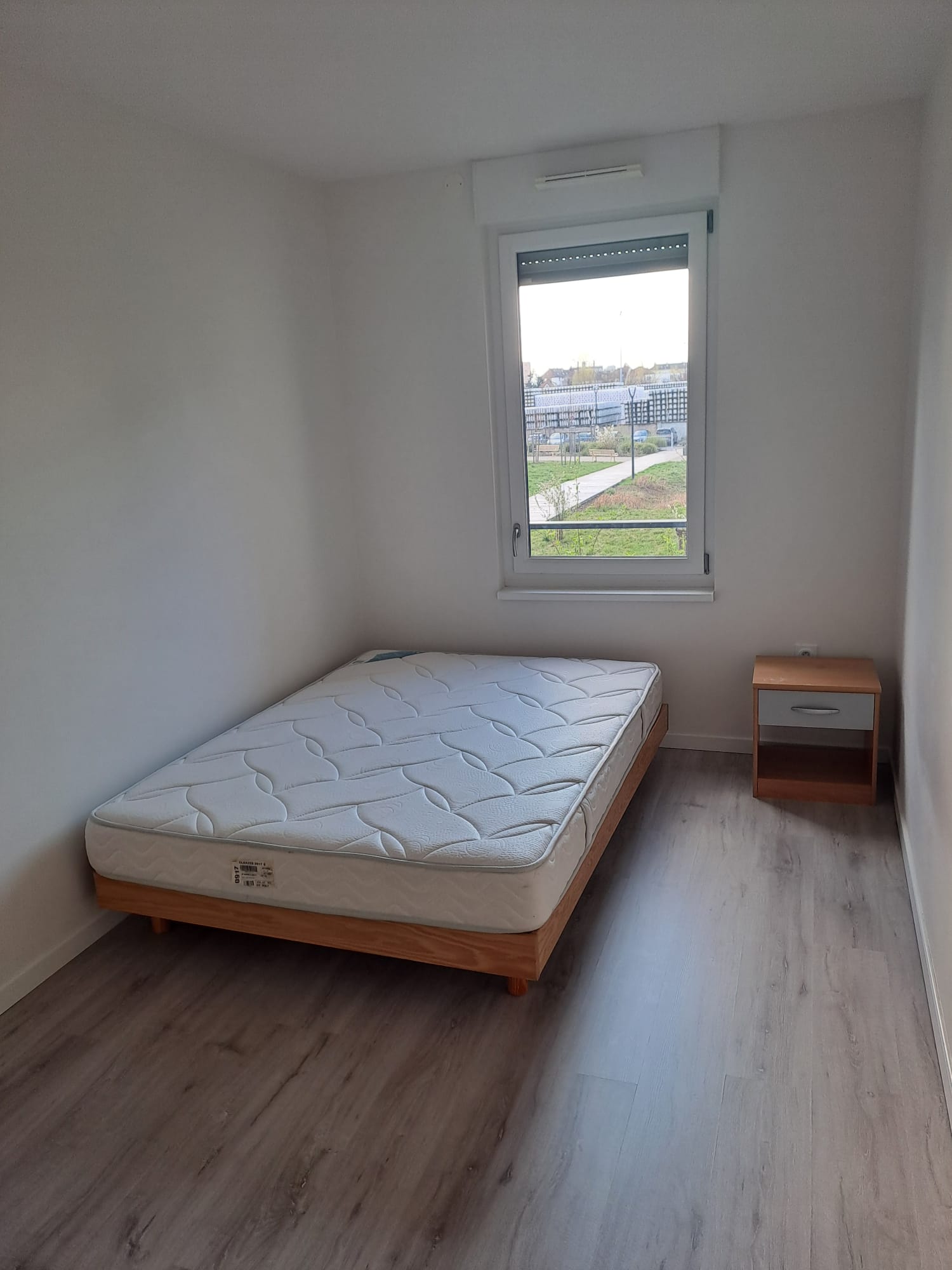 Kolokation Schiltigheim 497619