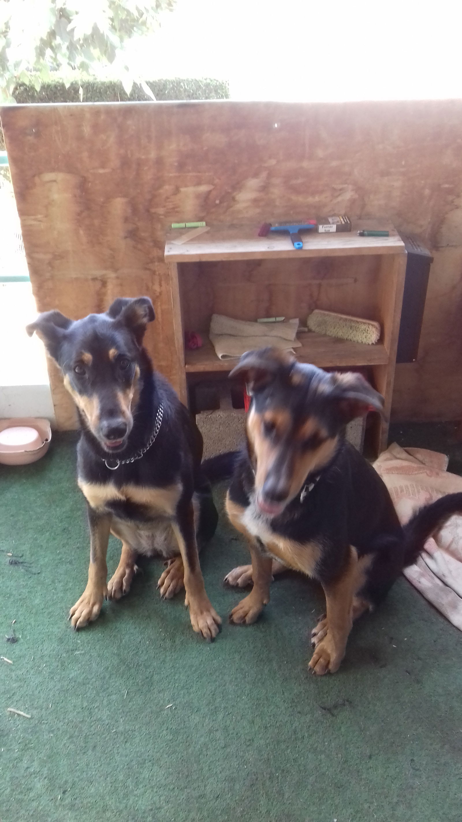 Gastfamilie Grenoble 4228