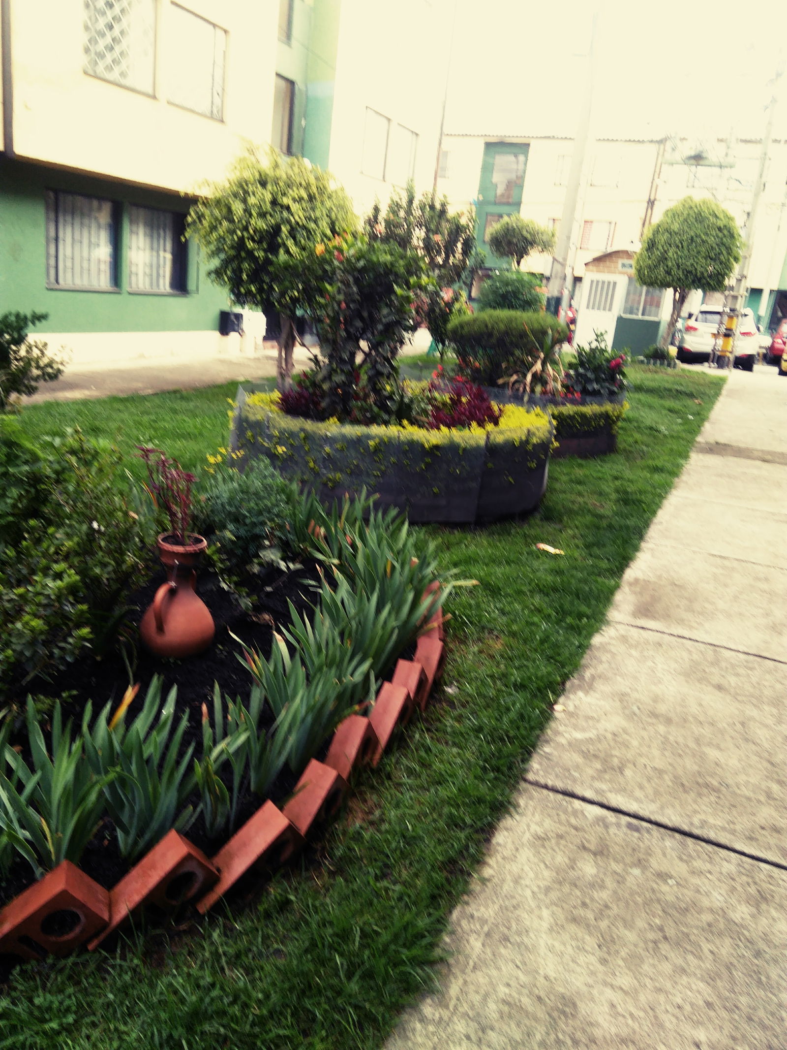 Gastfamilie Bogotá 242257