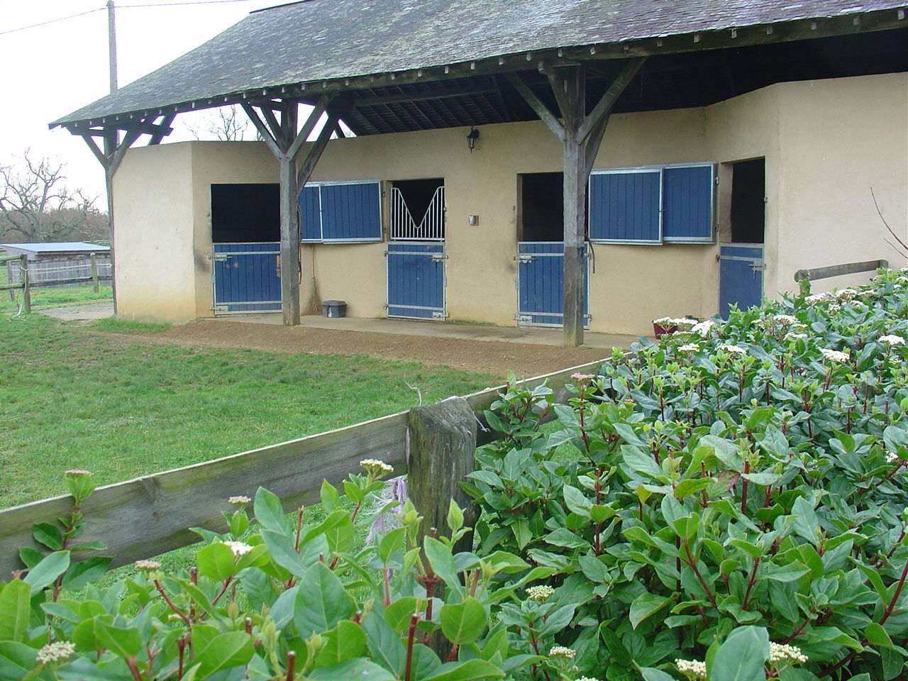 Gastfamilie Pays de la Loire 163893