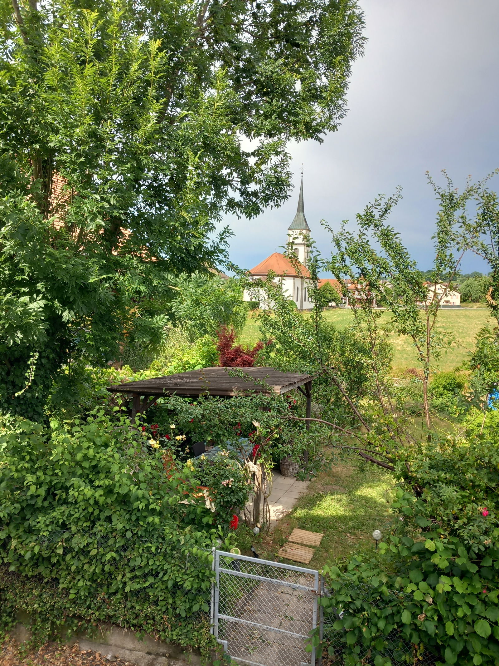 Gastfamilie Belmont-Broye 268473