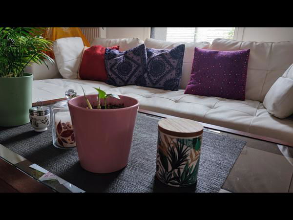 Gastfamilie Saint-Denis 509610