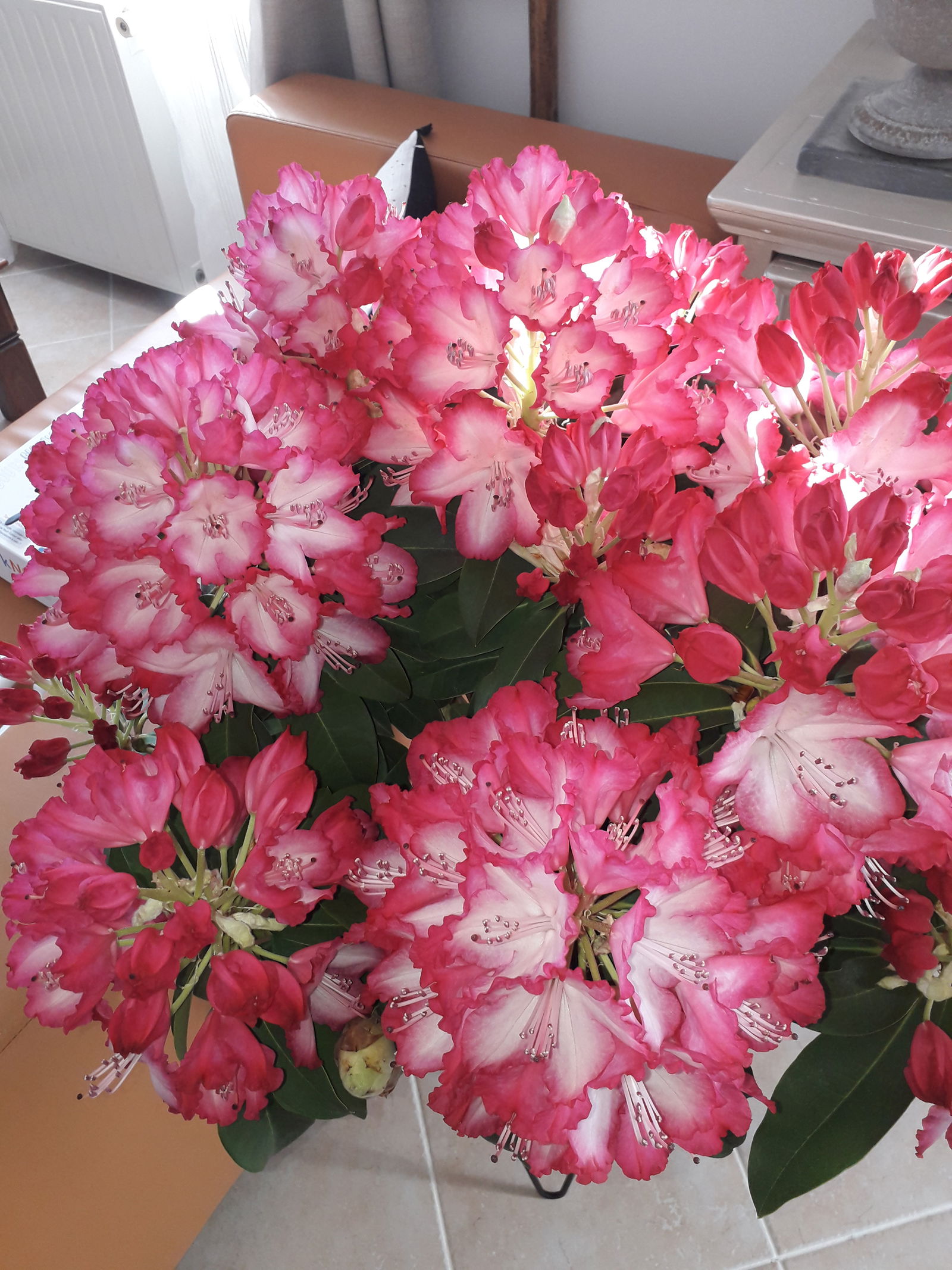 Gastfamilie Saint-Maurice-Montcouronne 92533