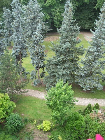 Gastfamilie Saint-Germain-en-Laye 59340