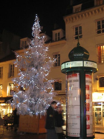 Gastfamilie Saint-Germain-en-Laye 59340