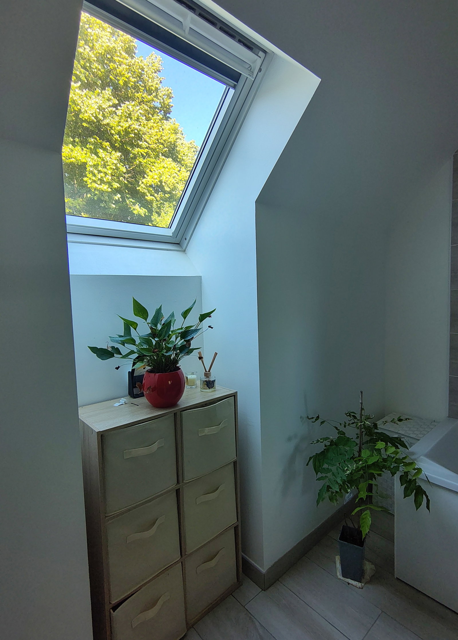 Coliving Genainville 670146