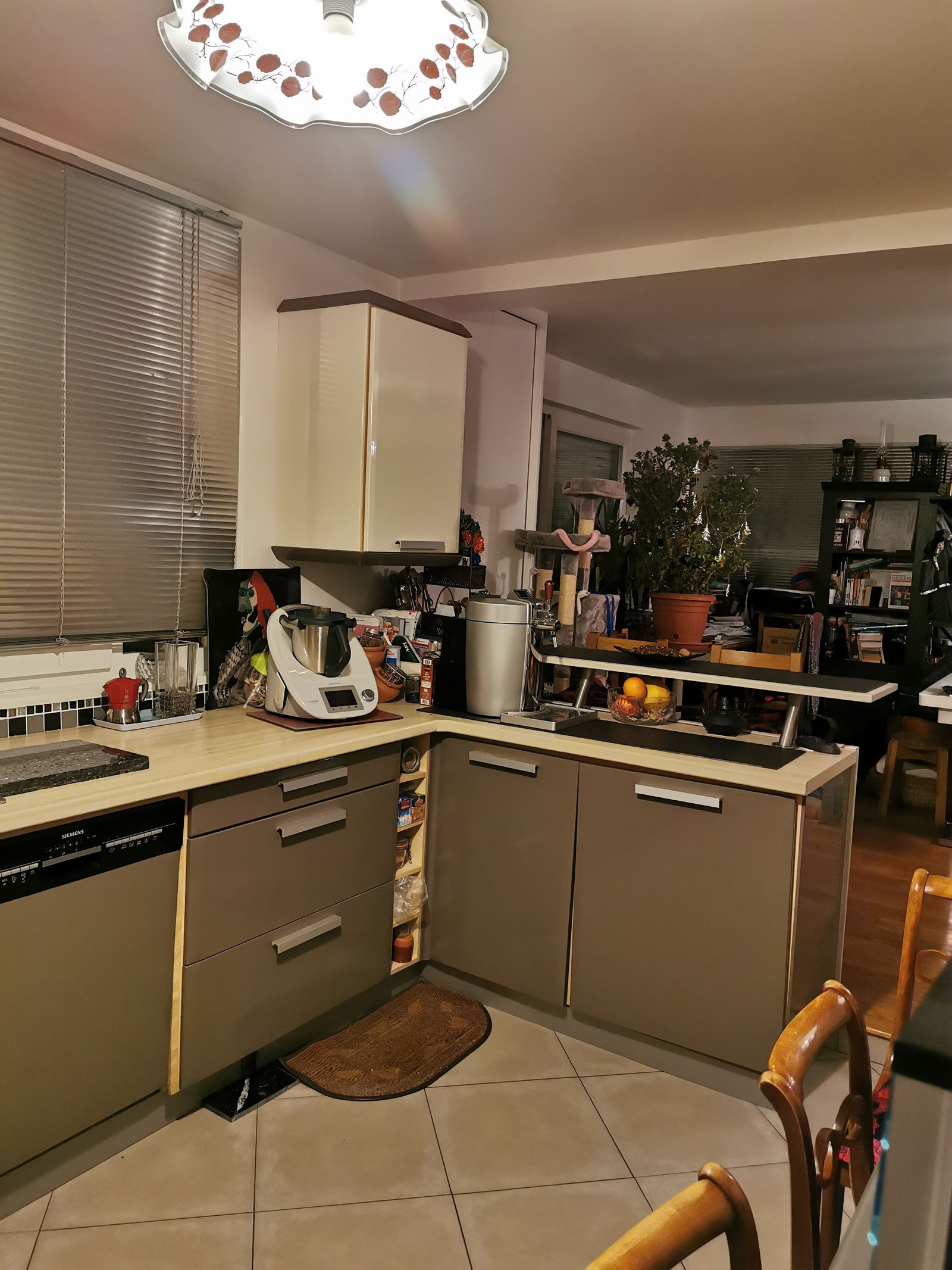 Gastfamilie Romainville 255388