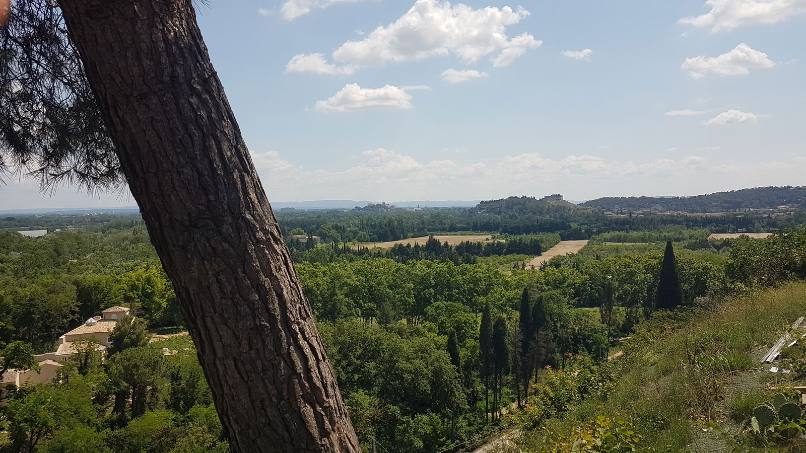 Famiglia Villeneuve-lès-Avignon 267240