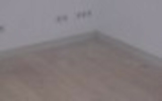 Famiglia Toulon 51531