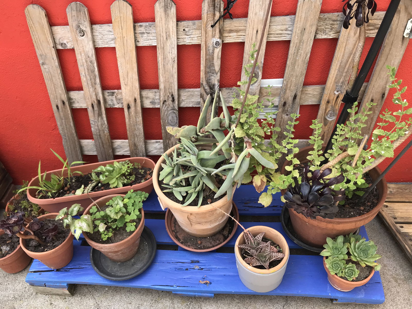 Tutta La Casa Orée-d'Anjou 265790