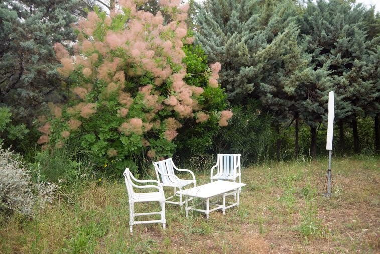 Tutta La Casa Le Castellet 82397