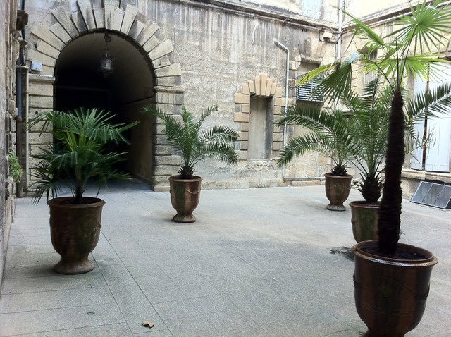 Famiglia Montpellier 12292