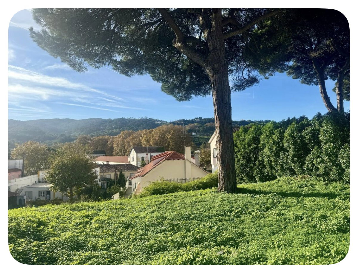 Tutta La Casa Colares 635801