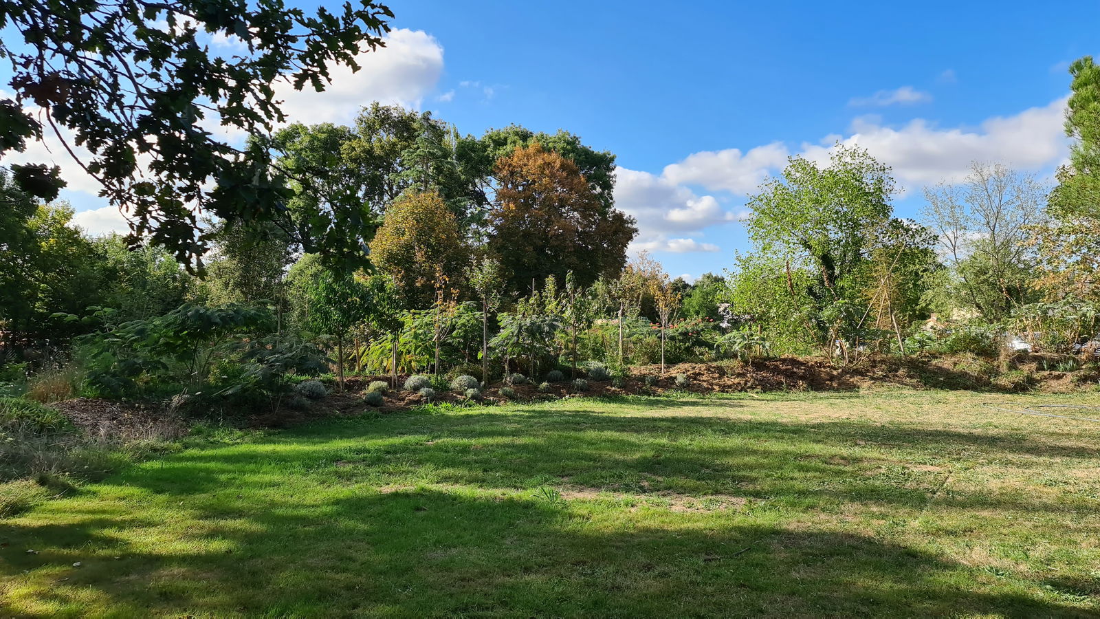 Tutta La Casa Couëron 241940