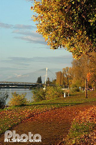 Monolocale Indipendente Strasbourg 96005