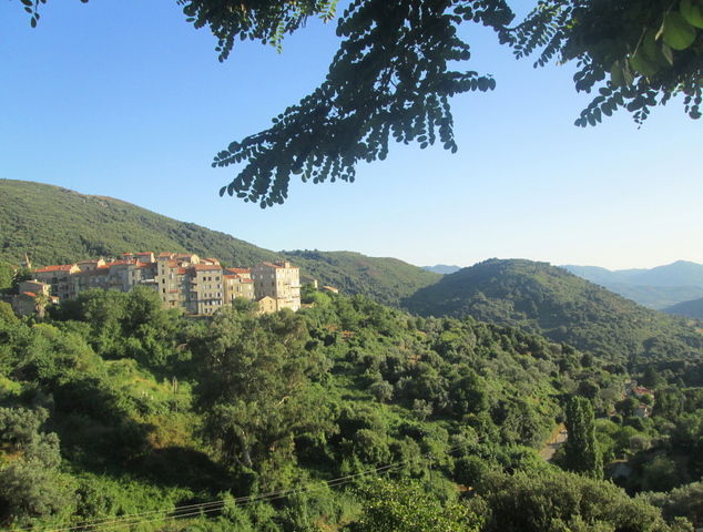 Tutta La Casa Olmiccia 54426