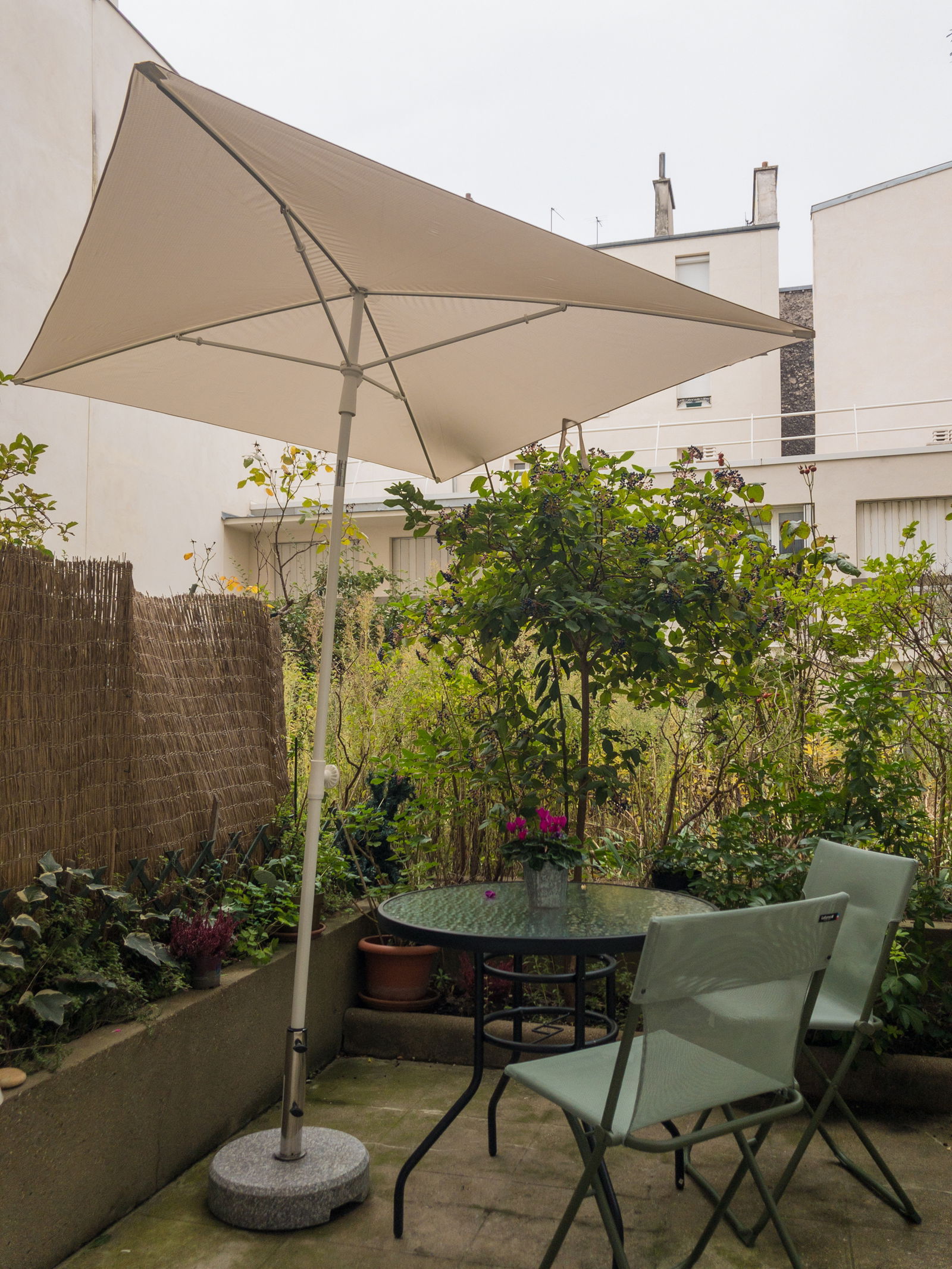 Famiglia Paris 331454