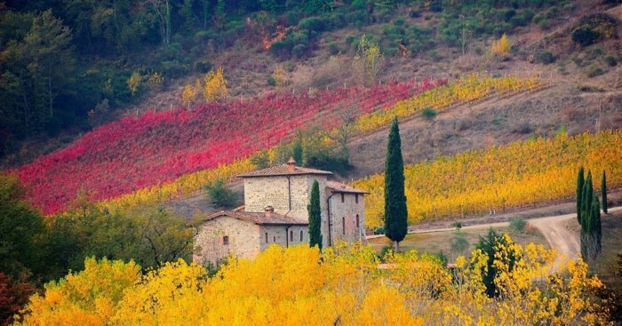 Tutta La Casa Maubec 254682