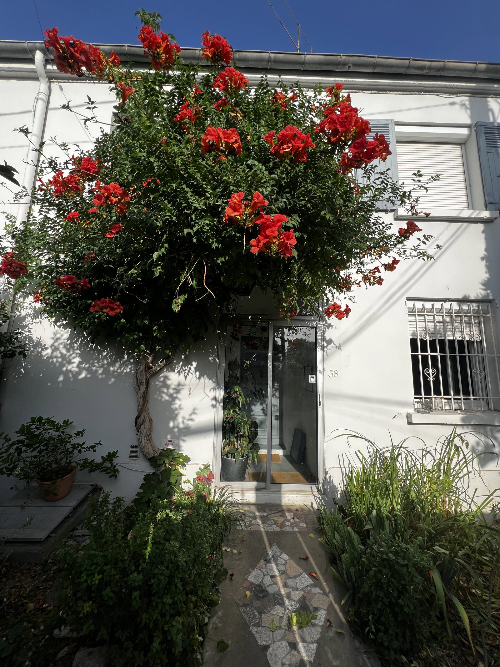 Famiglia Avignon 170262